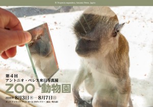 「ZOO　動物園」フライヤー表
